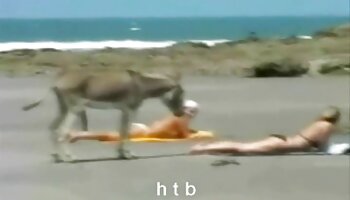 Phim khiêu dâm 4K phimxx xnxx kem